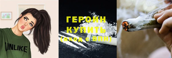 PSILOCYBIN Бежецк