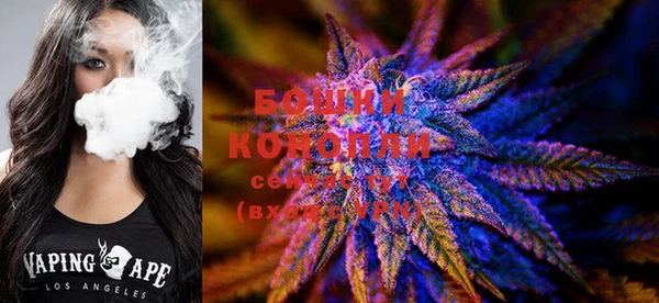 PSILOCYBIN Бежецк
