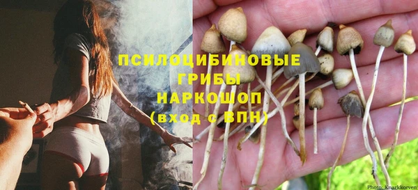 винт Бабаево