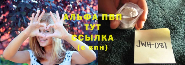 PSILOCYBIN Бежецк