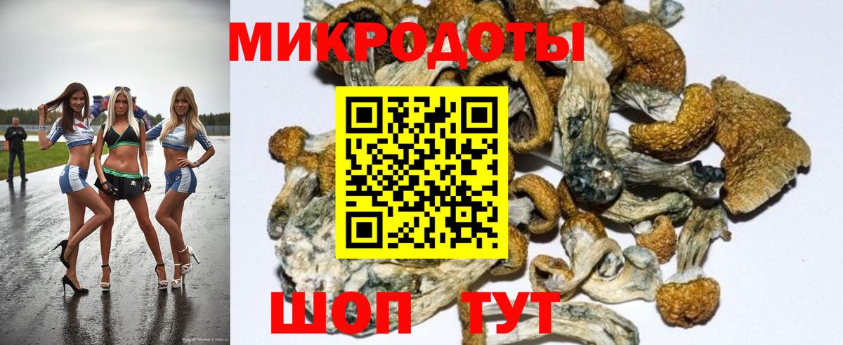 Галлюциногенные грибы прущие грибы Выборг