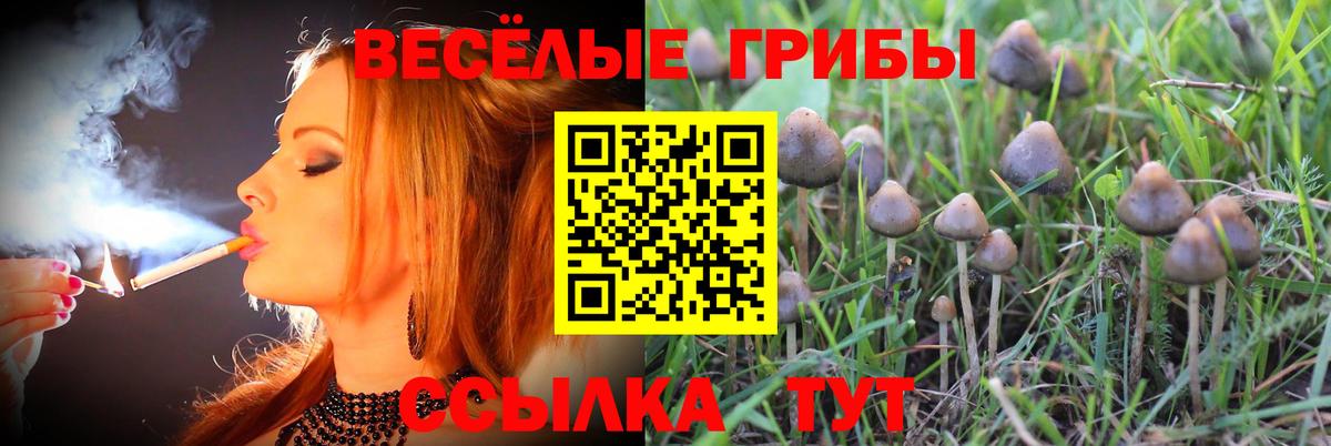 Галлюциногенные грибы GOLDEN TEACHER Выборг