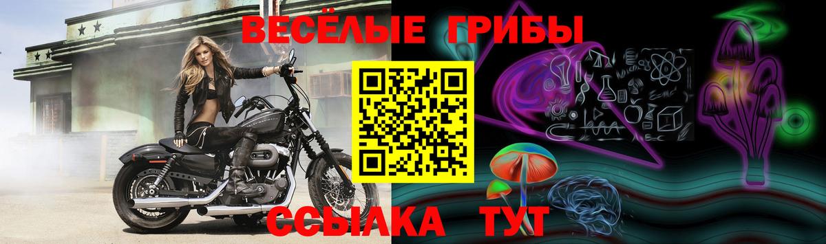 Псилоцибиновые грибы Magic Shrooms  Выборг 