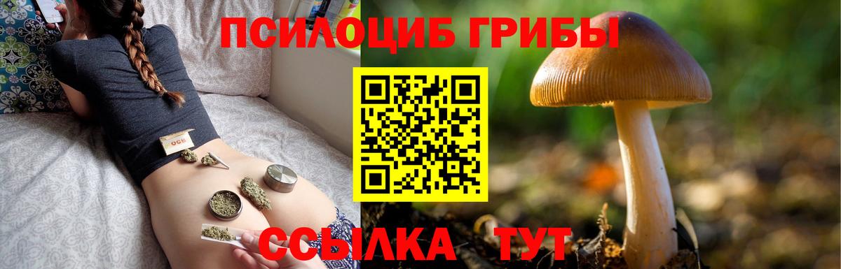 Лсд 25  Ляпка  Марихуана  Вход с VPN  Канабис  Cocaine  Мефедрон  МЕФ  Выборг  Molly  Гарик  СОЛЬ CK  ЛЁД 